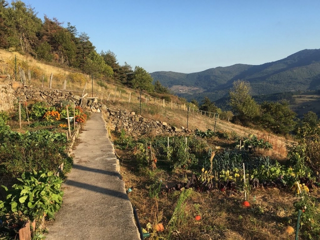 vue du jardin potager et paysage