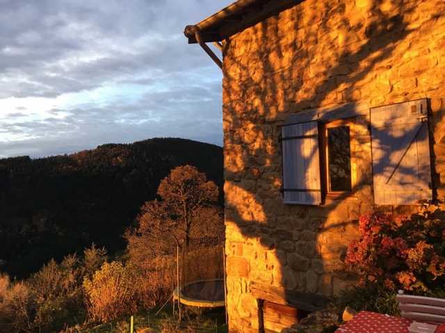 ombre arborée sur la façade au soleil couchant